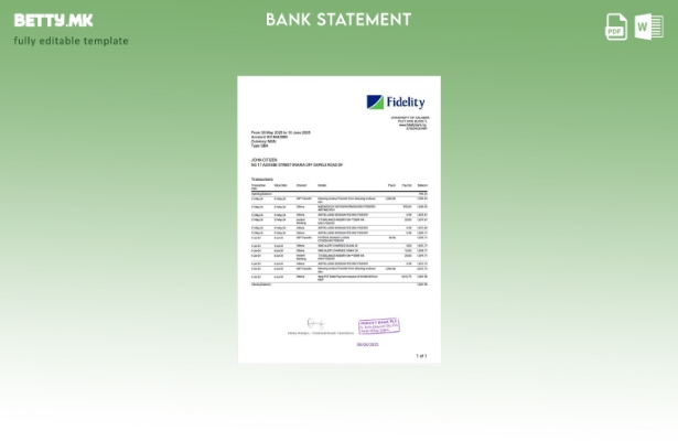 модерен стил Шаблон за збор верзија на извод од банка на Nigerienia Fidelity